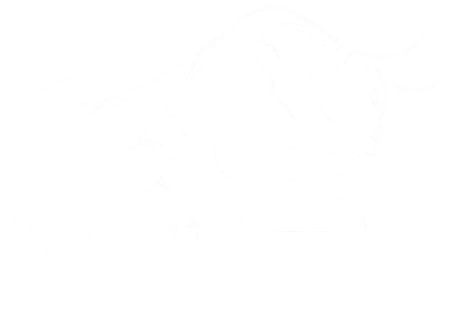 Wellness Peak